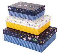 goldbuch 85 154 Set di scatole di cartone Meadow Miracles, 3 scatole, dimensioni scatola grande 18,5 x 26 x 7,5 c, scatola centrale 15,5 x 22 x 6,5 cm, scatola piccola 12,5 x 18 x 5,5 cm, set di