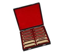 Golden 12 Pezzi/Set 10 Fori 20 Suoni Armonica Diatonica Arpa Con Confezione Regalo Armonica Strumento Musicale