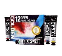 Golden Artist Colors, Acrilici ad asciugatura lenta, set di miscelazione 12 colori, 0000925-0