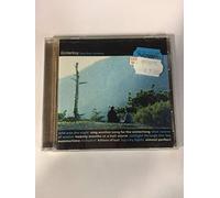 Golden Boy - Blue Swan Orchestra