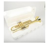 Golden Brass B-Flat Tromba Schiuma Scatola Di Schiuma Imballaggio Studenti Pratica Principianti Pratica Giocando A Tromba