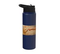 Golden Doodle Stainless Steel Insulated Water Bottle