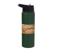 Golden Doodle Stainless Steel Insulated Water Bottle