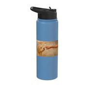 Golden Doodle Stainless Steel Insulated Water Bottle