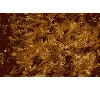 Golden Gate F-4112 - Battipenna per chitarra acustica, tartaruga screziata