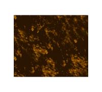 Golden Gate Materiale battipenna per chitarra acustica (F-4118)