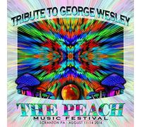 Golden Gate Wingmen - Peach Music Festival 2016