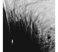 Golden Heir Sun - Holy The Abyss