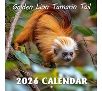 Golden Lion Tamarin Tail Calendar 2026: Colorful Details from an Exotic Primate | Kalender Calendario Calendrier