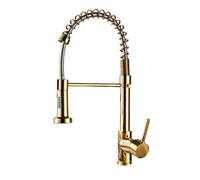 Golden Pull Down Rubinetto Della Cucina Singola Funzione Lavello Rubinetto Uso Domestico Arco Alto Design Moderno Facile Pulire Perfetto per La Ristrutturazione Della Cucina