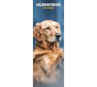 Golden Retriever 2027 - Calendario sottile