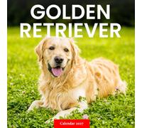 Golden Retriever Calendar 2027: Retriever Portraits and Outdoor Scenes