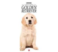 Golden retriever. Calendario 2026. Long