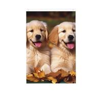 Golden Retriever Cani Cuccioli Animali Domestici Benvenuto Giardino Bandiera 2x3 Ft Doppio Lato No Fade Casa Yard Bandiere Foto Sfondo Festa Banner Per Cortile Portico Prato Decorazione Esterna