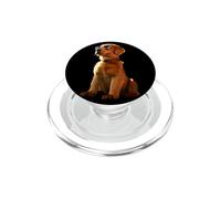 Golden Retriever con Occhiali da Sole Amo i Cani PopSockets PopGrip per MagSafe