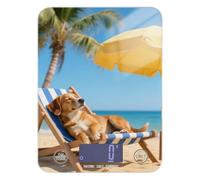 Golden Retriever Dog on The Beach Spezie Food Scale Cucina 5 kg/5 g Bilancia carina che pesa in grammi con 4 unità per la perdita di peso Keto Sapone Fare báscula para pesar alimentos