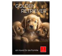 Golden Retriever - ein Hund für die Familie (Wandkalender 2026 DIN A3 hoch), CALVENDO Monatskalender: Der Golden Retriever - ein intelligenter und liebenswerter Begleiter