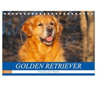 Golden Retriever - Freunde auf 4 Pfoten (Tischkalender 2026 DIN A5 quer), CALVENDO Monatskalender: Eine der schönsten und beliebtesten Hunderassen in 13 bezaubernden Bildern