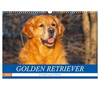 Golden Retriever - Freunde auf 4 Pfoten (Wandkalender 2026 DIN A3 quer), CALVENDO Monatskalender: Eine der schönsten und beliebtesten Hunderassen in 13 bezaubernden Bildern