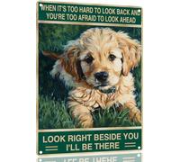 Golden Retriever "Guarda Proprio Accanto A Te" Poster Con Placca Pittura Segno Di Latta Design Targa Achtung Per Caffetteria Pub Garage 20X30 Cm