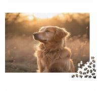 Golden Retriever Jigsaw Puzzle Impossibili 1000 Pezzi Tramonto nella prateria Decorazione Per La Casa. Giochi Rilassamento E Intelligence Per Adulti E Bambini Da 12 Anni 1000pcs (75x50cm)