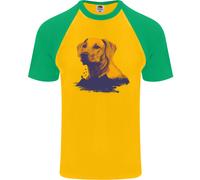 Golden Retriever Montagne Uomo T-Shirt Baseball S/S Cotone Fruit of the Loom