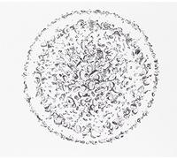 Golden Retriever - Occupied Ith The Unspoken