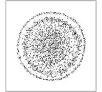 Golden Retriever - Occupied With The Unspoken