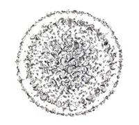 Golden Retriever - Occupied With The Unspoken