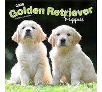 Golden Retriever Puppies - Golden Retriever Welpen 2026 - 16-Monatskalender: Original BrownTrout-Kalender [Mehrsprachig] [Kalender]
