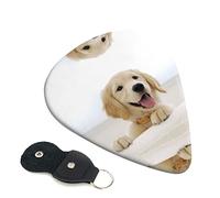 Golden Retriever Puppies Plettro per chitarra Set da 6 pezzi per chitarra acustica, chitarra elettrica, basso, ukulele - sottile, medio e spesso