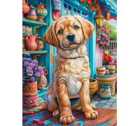 Golden Retriever Puppy in A Cozy Kitchen Puzzle 300 Pezzi Per Principianti Assoluti Scenery Science Fiction Cartone Rigido Difficoltà Bassa Per Imparare Con Guida Passo Passo Qualità Garantita Con Po