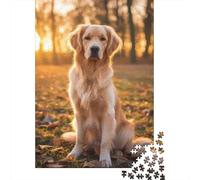 Golden Retriever Puzzle 1000 Pezzi Carta per Adulti Scenario Tramonto nella Foresta Gioco di Puzzle 1000 Pezzi Relax Decorativo Regalo 38x26cm/1000pcs