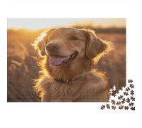 Golden Retriever Puzzle Impossible 1000 Pezzi Tramonto nella prateria Decorazione Per La Casa. Giochi Rilassamento E Intelligence Per Adulti E Bambini Da 12 Anni 1000pcs (75x50cm)