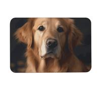 Golden Retriever, tappetino da doccia in terra di diatomee, antiscivolo, super assorbente, ad asciugatura rapida, facile da pulire, 60 x 40 cm