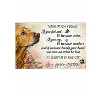 Golden Retriever - Targa in metallo decorativa da parete, 20 x 30 cm
