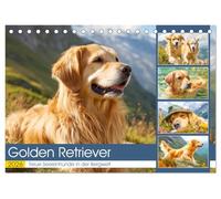 Golden Retriever. Treue Seelenhunde in der Bergwelt (Tischkalender 2026 DIN A5 quer), CALVENDO Monatskalender: Inmitten der majestätischen ... Hunde ihre stille Kraft und Ausstrahlung