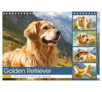 Golden Retriever. Treue Seelenhunde in der Bergwelt (Wandkalender 2026 DIN A4 quer), CALVENDO Monatskalender: Inmitten der majestätischen Alpenkulisse ... Hunde ihre stille Kraft und Ausstrahlung