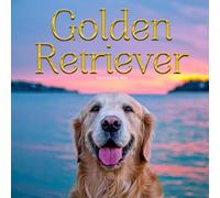 Golden Retrievers dogs 2026 Calendar: Beautiful Photography of Loyal & Playful Golden Retriever Dogs