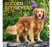 Golden Retrievers - Golden Retriever 2026 - 16-Monatskalender: Original BrownTrout-Kalender [Mehrsprachig] [Kalender]