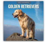 Golden Retrievers - Golden Retriever 2027 - 16-Monatskalender: Original Red Robin Publishing Ltd-Kalender [Mehrsprachig] [Kalender]