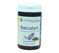 GOLDEN WAVE Srl Integratore Baicalyn con Scutellaria baicalensis, 60 capsule