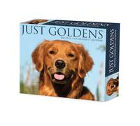 Willow Creek Press, Just Goldens - Calendario 2027, 13,7 x 15,7 cm