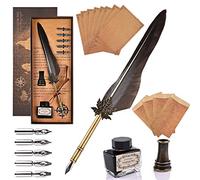 GOLDGE Penna Piuma D'oca Set Con 5 Pennini Di Ricambio, Calligrafia Stilografica, Quill Set Con Inchiostro, Portapenne, 8 Fogli Da Lettera E 4 Buste