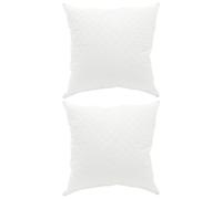 Goldonion Cuscino FULDA 2 Pezzi 80 x 80 cm Piuma d'Oca e Piumino Bianco