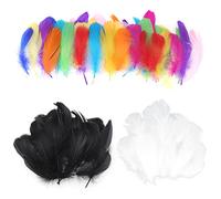 GoldRock 300 piume colorate per fai da te, 100 piume bianche, 100 piume nere, 100 piume colorate per acchiappasogni, copricapo indiano per bambini, accessori per piume, piume per copricapo