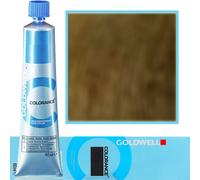 Goldwell Colorance 6NN GRIGIO + Biondo Scuro Extra Forte 60 ml - Colorante per capelli