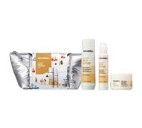 Goldwell Dualsenses Rich Repair Set (shampoo 250 ml + trattamento 200 ml + siero 100 ml)