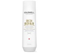 Goldwell Rich Repair Restoring Shampoo 250ml
