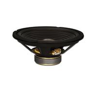 Goldwood Sound GW-210/8 - Altoparlante di ricambio per woofer da 10", 220 W, 8 ohm, colore: nero